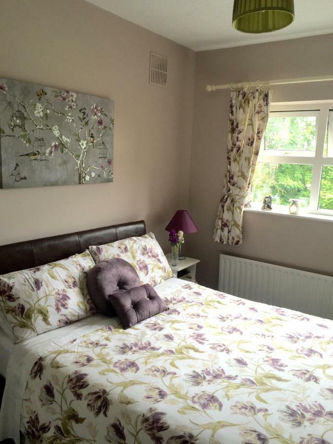 Tara Lodge Galway Ngoại thất bức ảnh